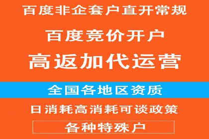 精准投放：SEM推广的技巧与案例